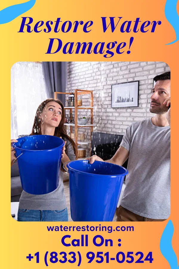 water restoration Southern Drying Specialists Pulaski