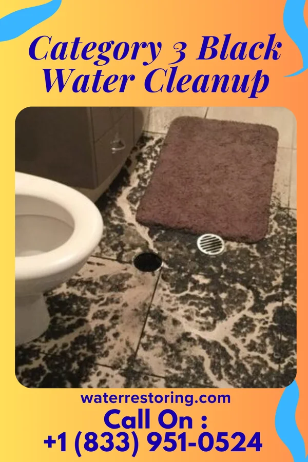 Category 3 Black Water Cleanup in Pulaski, NY